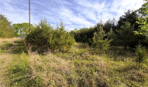 Photo #12 of 521 Matrimony, Eden, NC 30.4 acres