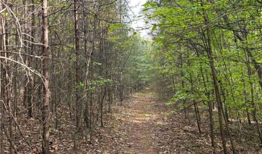 Photo #26 of 521 Matrimony, Eden, NC 30.4 acres