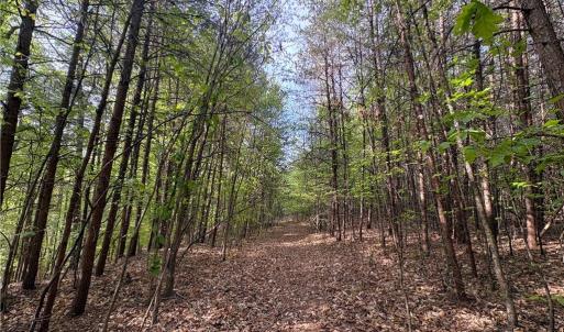 Photo #32 of 521 Matrimony, Eden, NC 30.4 acres