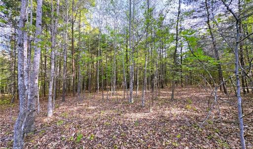 Photo #1 of 521 Matrimony, Eden, NC 30.4 acres