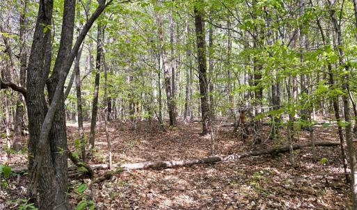 Photo #28 of 521 Matrimony, Eden, NC 30.4 acres