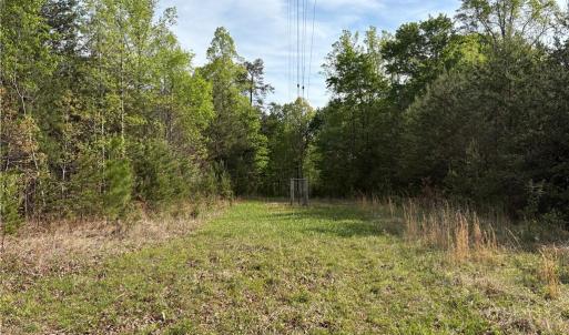 Photo #24 of 521 Matrimony, Eden, NC 30.4 acres