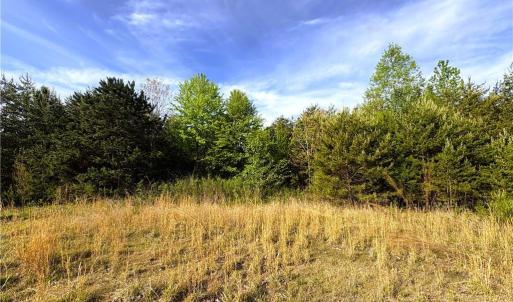 Photo #14 of 521 Matrimony, Eden, NC 30.4 acres