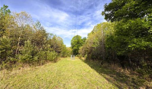 Photo #15 of 521 Matrimony, Eden, NC 30.4 acres