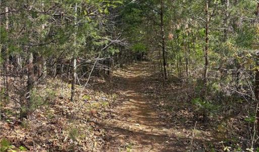 Photo #25 of 521 Matrimony, Eden, NC 30.4 acres