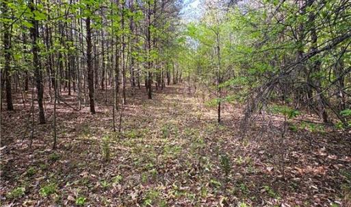 Photo #21 of 521 Matrimony, Eden, NC 30.4 acres