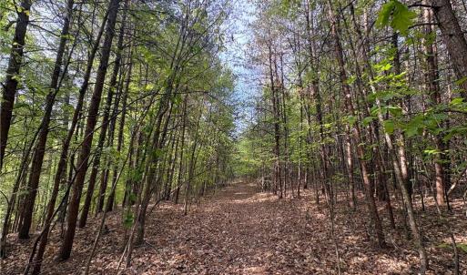 Photo #32 of 521 Matrimony, Eden, NC 30.4 acres