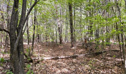 Photo #28 of 521 Matrimony, Eden, NC 30.4 acres