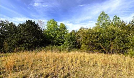 Photo #14 of 521 Matrimony, Eden, NC 30.4 acres