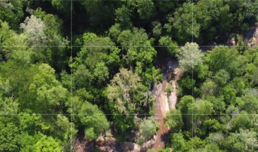 Photo #3 of 293 Preacher, Reidsville, NC 88.5 acres