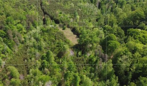 Photo #4 of 293 Preacher, Reidsville, NC 88.5 acres