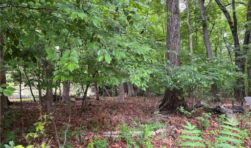 Photo #2 of 2002 Kello, Greensboro, NC 0.5 acres