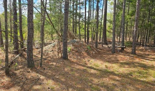 Photo #5 of Riverside, Seagrove, NC 23.9 acres