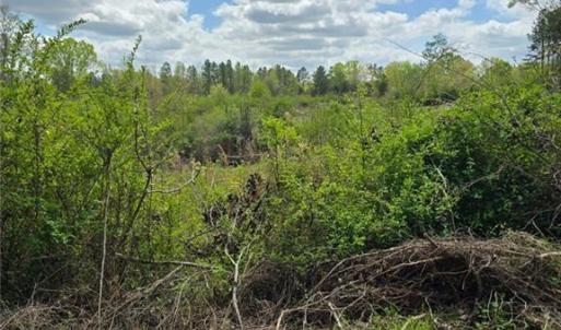 Photo #7 of Riverside, Seagrove, NC 24.4 acres