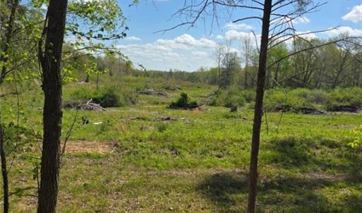 Photo #5 of Riverside, Seagrove, NC 24.4 acres