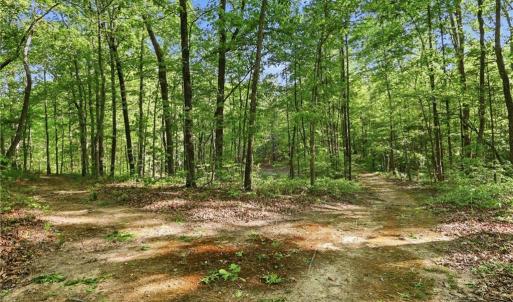 Photo #34 of 309 Tom Caudle, Lexington, NC 8.9 acres
