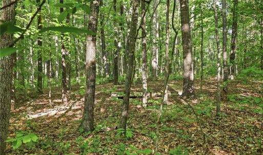 Photo #33 of 309 Tom Caudle, Lexington, NC 8.9 acres