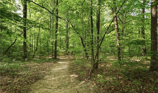 Photo #35 of 309 Tom Caudle, Lexington, NC 8.9 acres