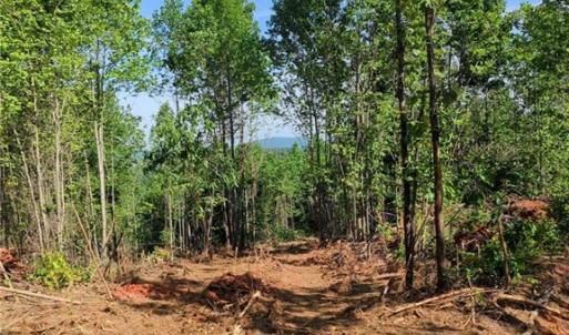 Photo #6 of 808 Neely, Asheboro, NC 53.6 acres