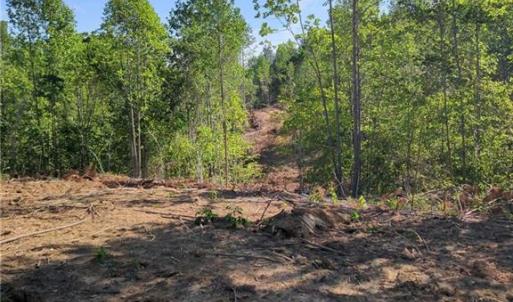 Photo #13 of 808 Neely, Asheboro, NC 53.6 acres