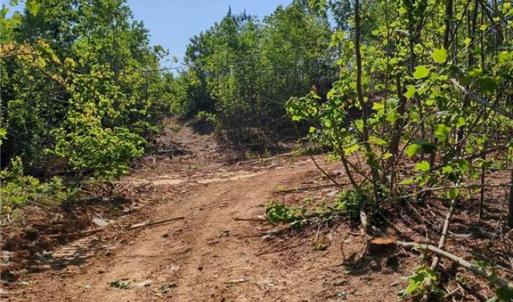 Photo #17 of 808 Neely, Asheboro, NC 53.6 acres