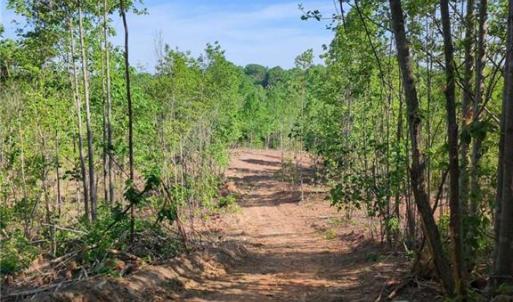 Photo #16 of 808 Neely, Asheboro, NC 53.6 acres