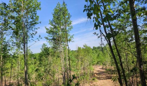 Photo #12 of 808 Neely, Asheboro, NC 53.6 acres