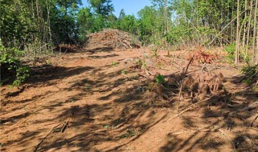 Photo #7 of 808 Neely, Asheboro, NC 53.6 acres