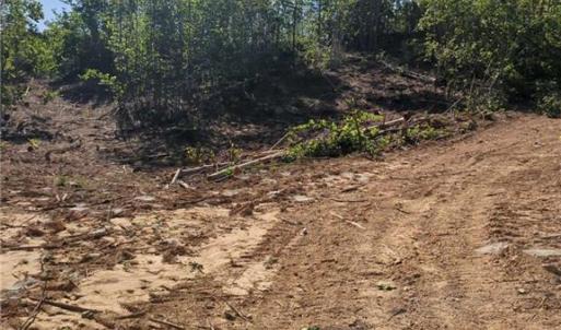 Photo #9 of 808 Neely, Asheboro, NC 53.6 acres