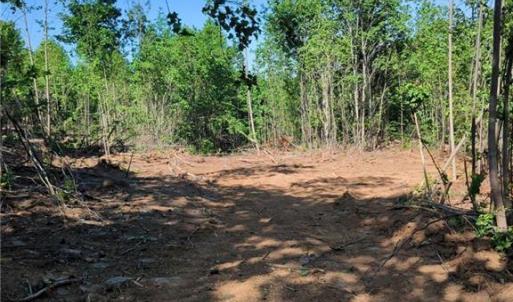 Photo #10 of 808 Neely, Asheboro, NC 53.6 acres