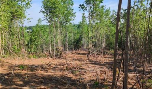 Photo #18 of 808 Neely, Asheboro, NC 53.6 acres