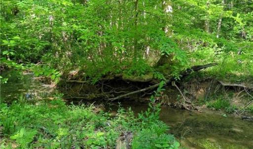 Photo #23 of 808 Neely, Asheboro, NC 53.6 acres