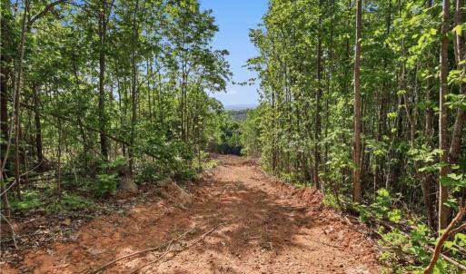 Photo #2 of 808 Neely, Asheboro, NC 53.6 acres