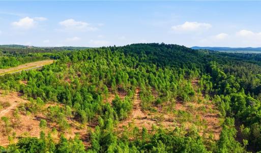 Photo #13 of 808 Neely, Asheboro, NC 53.6 acres