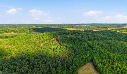 Photo #16 of 808 Neely, Asheboro, NC 53.6 acres
