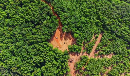 Photo #22 of 808 Neely, Asheboro, NC 53.6 acres