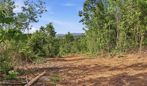Photo #3 of 808 Neely, Asheboro, NC 53.6 acres