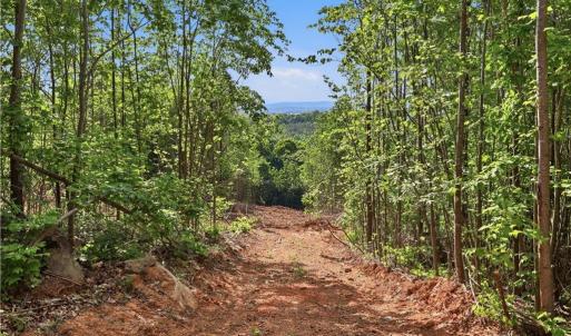Photo #1 of 808 Neely, Asheboro, NC 53.6 acres