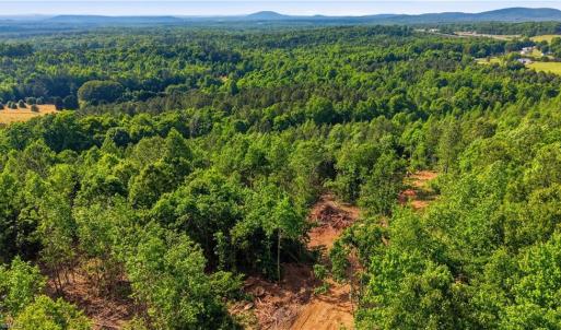 Photo #9 of 808 Neely, Asheboro, NC 53.6 acres