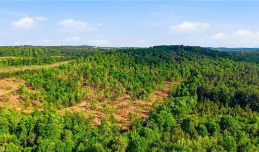 Photo #14 of 808 Neely, Asheboro, NC 53.6 acres