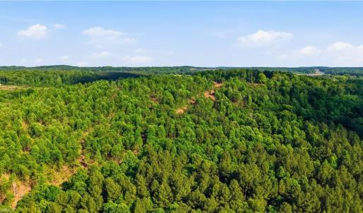 Photo #15 of 808 Neely, Asheboro, NC 53.6 acres