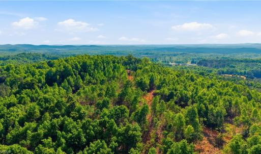 Photo #11 of 808 Neely, Asheboro, NC 53.6 acres