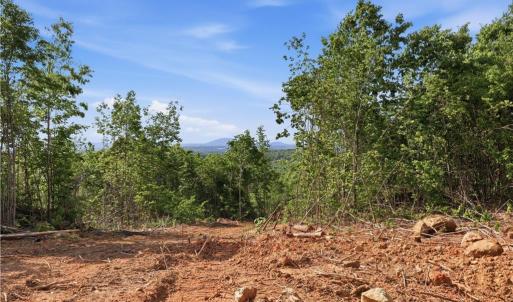 Photo #4 of 808 Neely, Asheboro, NC 53.6 acres