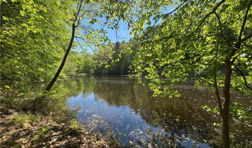 Photo #5 of 1011 Hauser, Lewisville, NC 29.0 acres