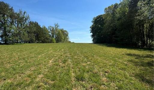 Photo #4 of 1011 Hauser, Lewisville, NC 29.0 acres