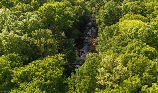 Photo #6 of 4100 High Rock, Gibsonville, NC 19.7 acres