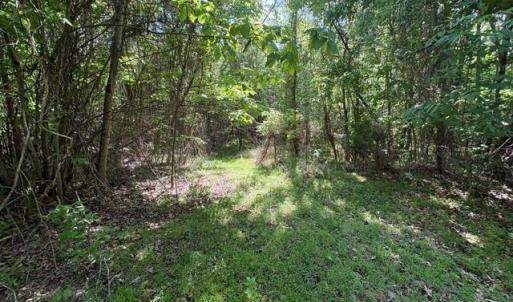 Photo #20 of 4100 High Rock, Gibsonville, NC 19.7 acres