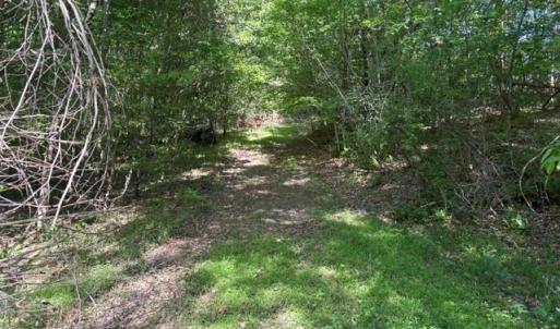 Photo #24 of 4100 High Rock, Gibsonville, NC 19.7 acres