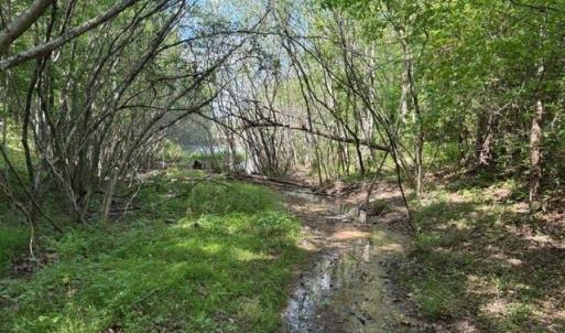 Photo #10 of 4100 High Rock, Gibsonville, NC 19.7 acres