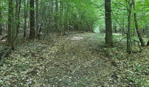 Photo #14 of 4100 High Rock, Gibsonville, NC 19.7 acres